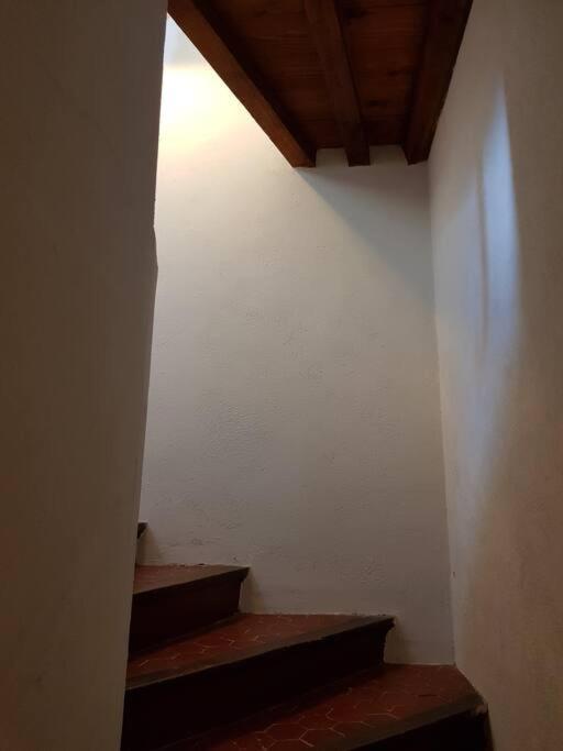 Apartment Pres Des Plages Du Mourillon